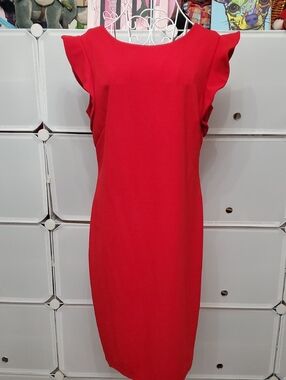 Enfocus Studio Dress Size 12